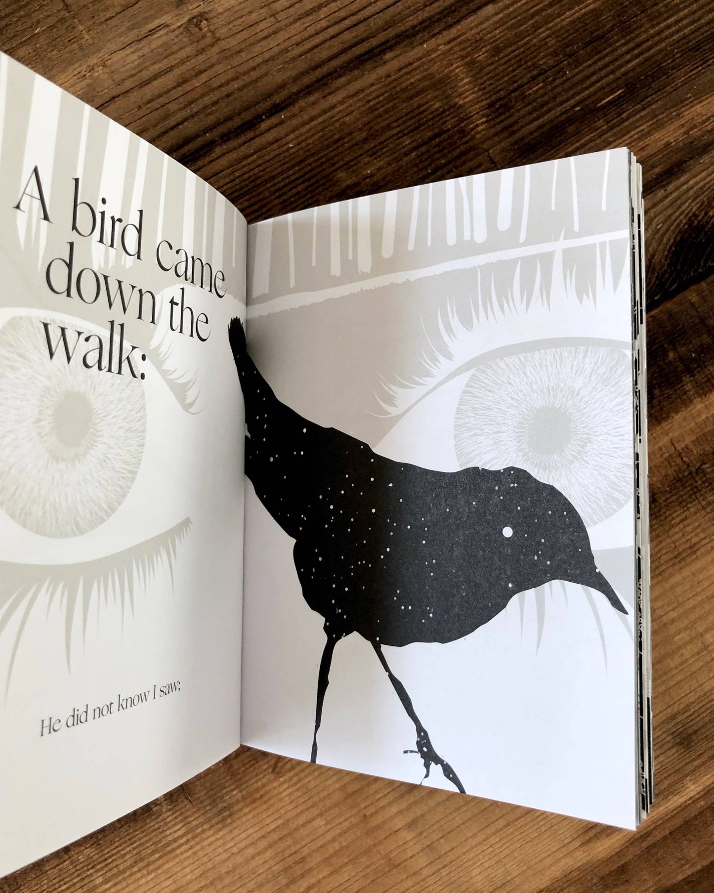 Hope is the Thing by Emily Dickinson, an Illustrated Book