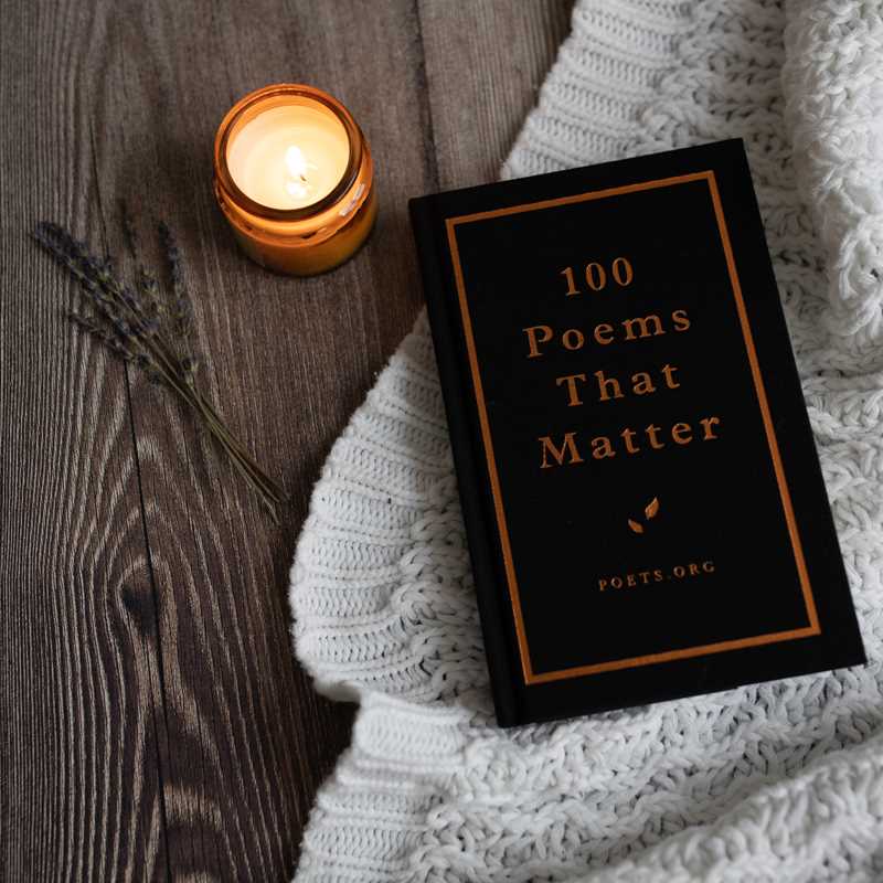 100 Poems That Matter by The Academy of American Poets