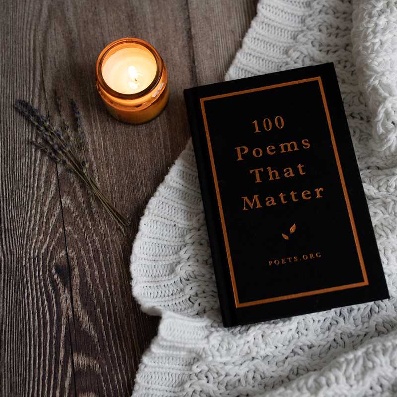 100 Poems That Matter by The Academy of American Poets