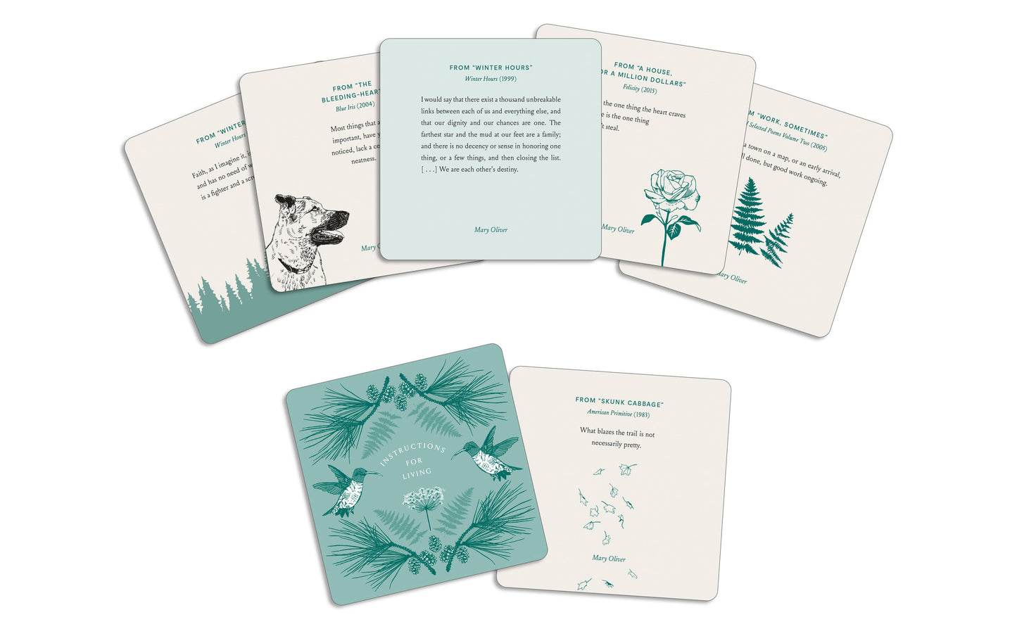 Instructions for Living: A Mary Oliver Inspiration Deck