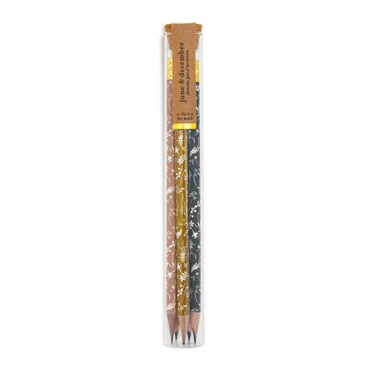 Elements Pencil Terrarium, mixed set of 5 pencils