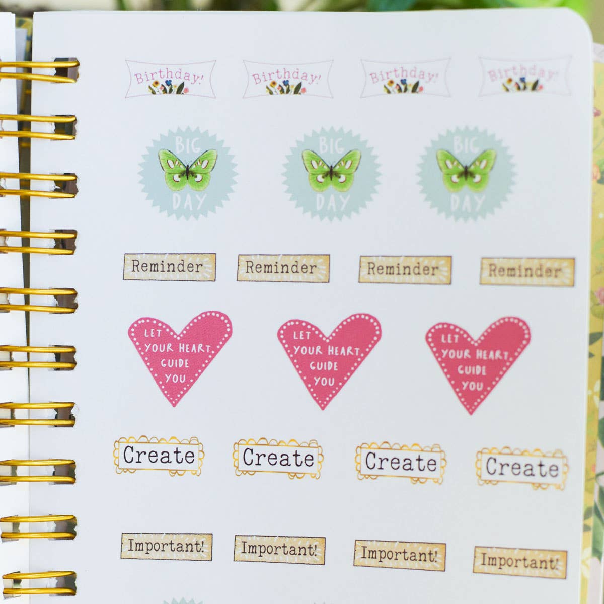 Look For The Magic Undated Planner from Kelly Rae Roberts